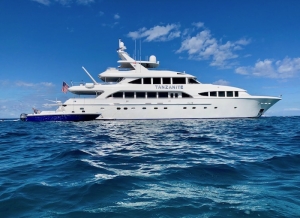 Tanzanite Profile After - Innovative Creations